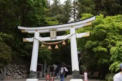 宝登山神社(埼玉県)