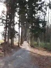 高木岡神社の自然