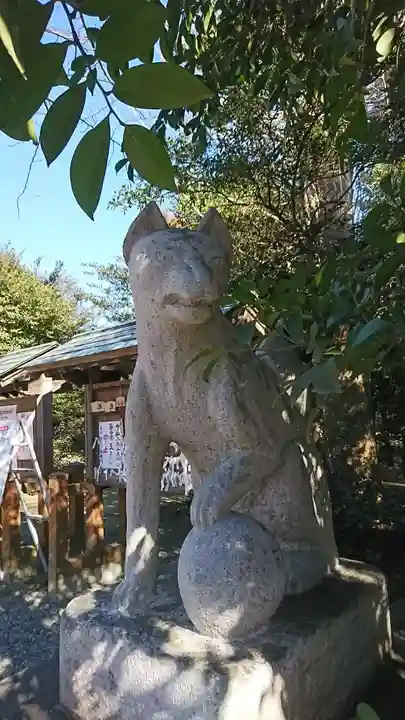 三軒地稲荷神社の狛犬