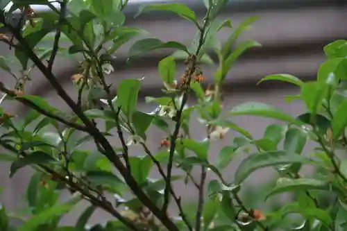 阿邪訶根神社の庭園