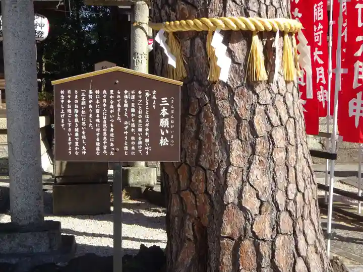 中野沼袋氷川神社の自然