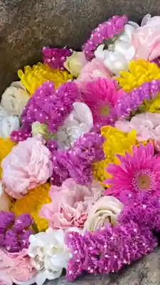 岡部春日神社～👹鬼門よけの🌺花咲く🌺やしろ～(福島県)