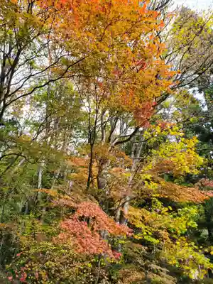 土津神社｜こどもと出世の神さま(福島県)