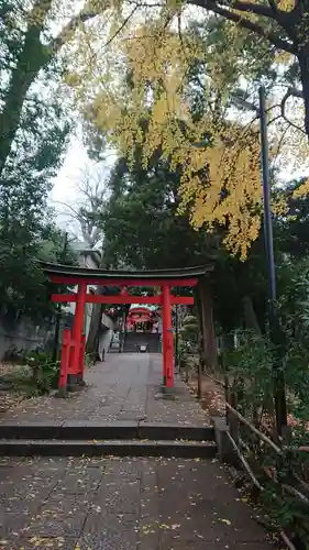 自由が丘熊野神社の鳥居