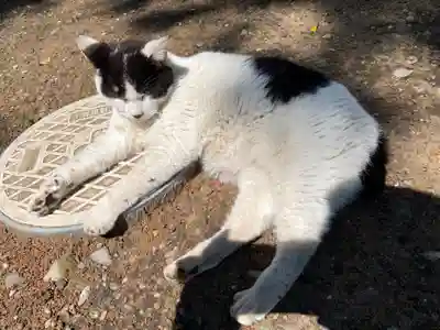 鎌数伊勢大神宮(千葉県)