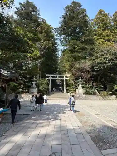 彌彦神社の{uncategorized: "未分類", other: "その他", undefined: "問題あり", building: "その他建物", grave: "お墓", sacred_gate: "鳥居", guardian: "狛犬", statue: "像", buddha: "仏像", history: "歴史", nature: "自然", garden: "庭園", animal: "動物", pagoda: "塔", temizu: "手水舎", mountain_gate: "山門・神門", sanctuary: "本殿・本堂", subordinate: "末社・摂社", art: "芸術", scenery: "景色", jizo: "地蔵", ema: "絵馬", goshuin: "御朱印", omikuji: "おみくじ", items: "授与品その他", amulet: "お守り", goshuincho: "御朱印帳", eats: "食事", festival: "お祭り", votive_dance: "神楽", shichigosan: "七五三参", wedding: "結婚式", experience: "体験その他", initially: "初詣", around: "周辺", anti_infection: "感染症対策"}