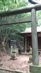 妻恋稲荷神社の鳥居