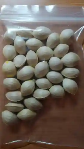 髙部屋神社(神奈川県)