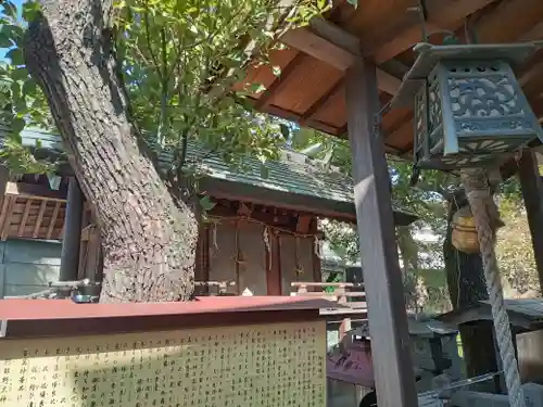 阿部野神社(大阪府)