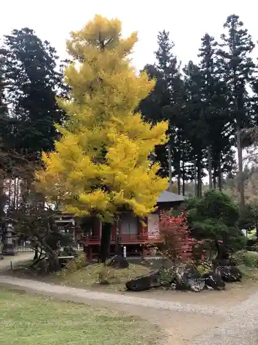 達谷西光寺の自然