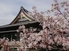 本寿寺(静岡県)