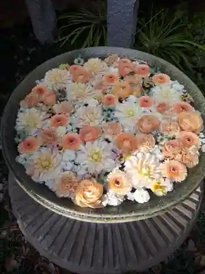 行田八幡神社の手水舎