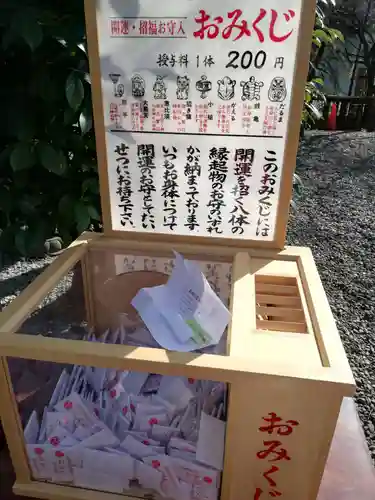 市谷亀岡八幡宮のおみくじ