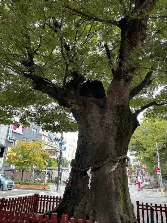 大國魂神社(東京都)