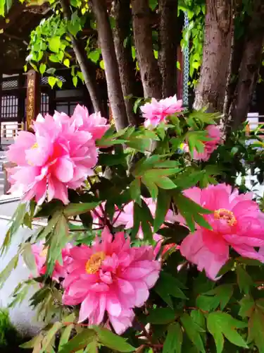 成願寺(東京都)