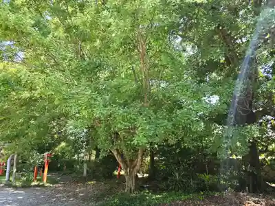 阿須賀神社(和歌山県)