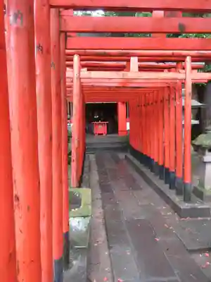 宇都宮二荒山神社の鳥居
