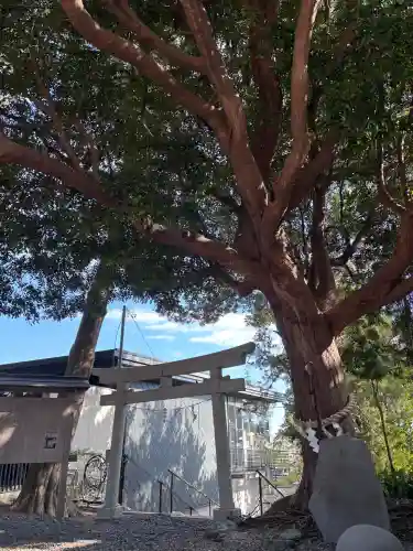 玉前神社の{uncategorized: "未分類", other: "その他", undefined: "問題あり", building: "その他建物", grave: "お墓", sacred_gate: "鳥居", guardian: "狛犬", statue: "像", buddha: "仏像", history: "歴史", nature: "自然", garden: "庭園", animal: "動物", pagoda: "塔", temizu: "手水舎", mountain_gate: "山門・神門", sanctuary: "本殿・本堂", subordinate: "末社・摂社", art: "芸術", scenery: "景色", jizo: "地蔵", ema: "絵馬", goshuin: "御朱印", omikuji: "おみくじ", items: "授与品その他", amulet: "お守り", goshuincho: "御朱印帳", eats: "食事", festival: "お祭り", votive_dance: "神楽", shichigosan: "七五三参", wedding: "結婚式", experience: "体験その他", initially: "初詣", around: "周辺", anti_infection: "感染症対策"}