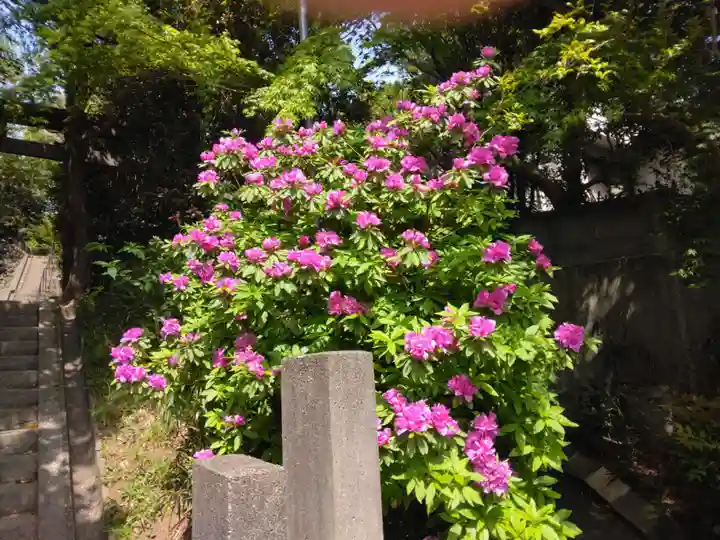 厳島神社(神奈川県)