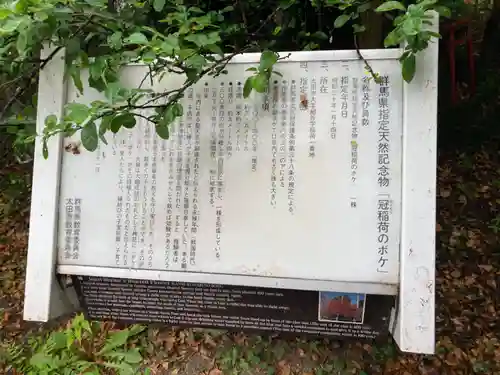 冠稲荷神社(群馬県)