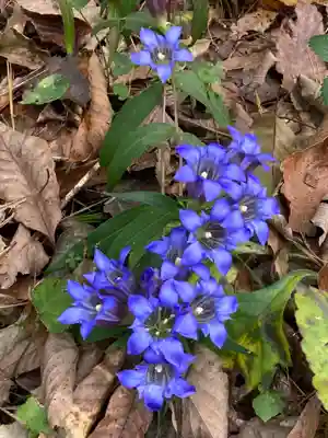 十二山神社(群馬県)