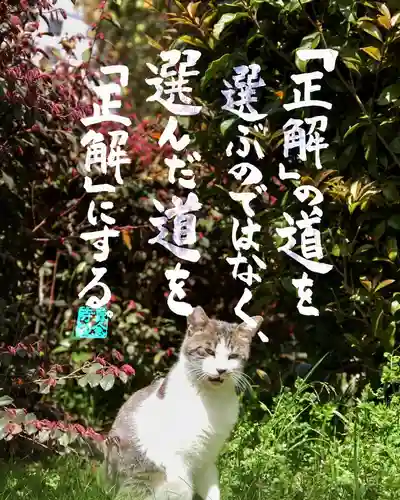 専念寺(大阪府)