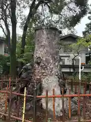 武蔵一宮氷川神社(埼玉県)