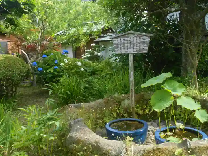 極楽寺(霊鷲山感應院極楽律寺)の庭園
