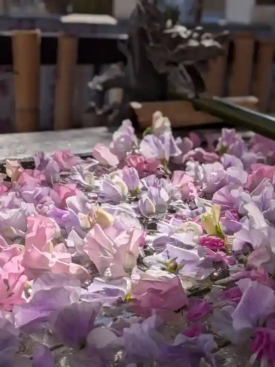 高円寺氷川神社(東京都)