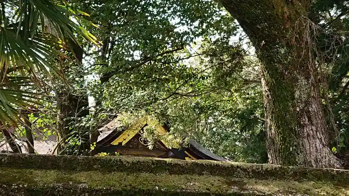 伊賀八幡宮の本殿・本堂