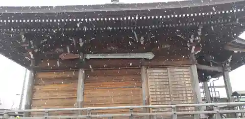 泉竜寺(乙女不動尊)(栃木県)