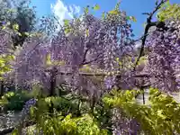 白毫寺熊野権現社(兵庫県)