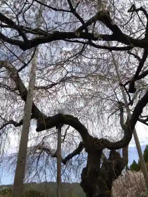 福徳寺(京都府)