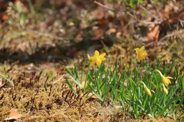 白水阿弥陀堂の庭園