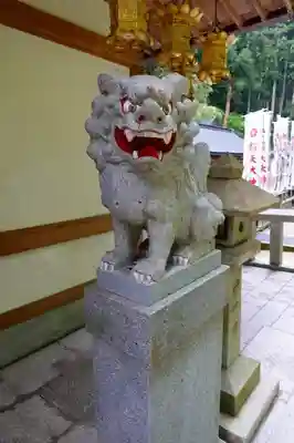 脳天大神龍王院の狛犬