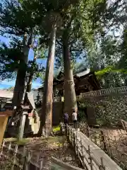 三峯神社(埼玉県)