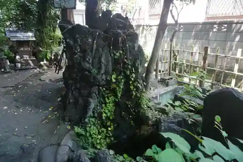 厳島神社（港町弁財天）のその他建物