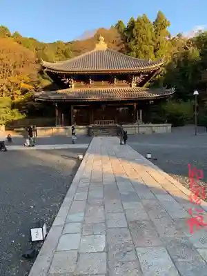 知恩院の本殿・本堂