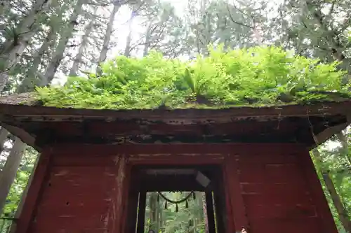 戸隠神社奥社(長野県)