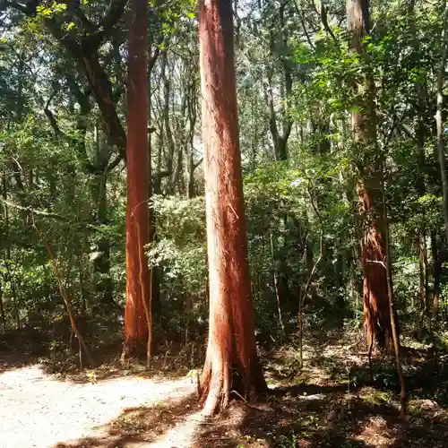 鹿島神宮の自然