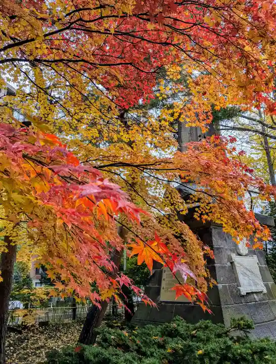 札幌護國神社の自然