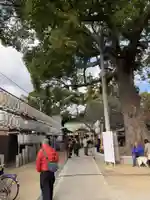阿麻美許曽神社(大阪府)