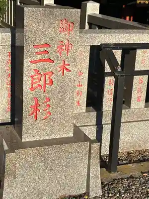 大杉神社(茨城県)