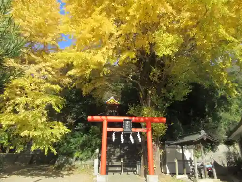 雷神社の鳥居