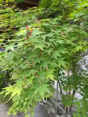 志賀海神社(福岡県)