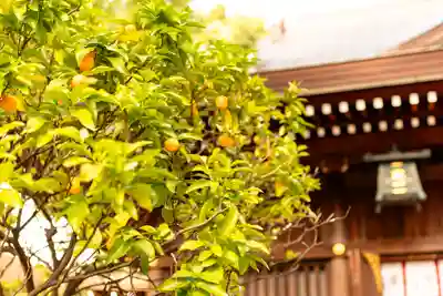 若宮八幡社(愛知県)