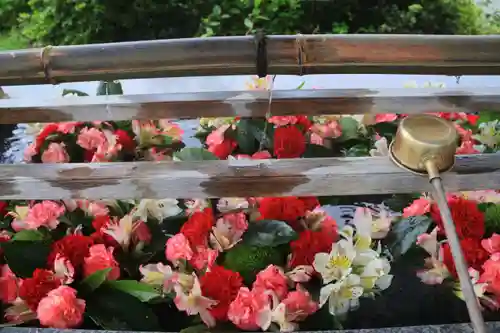 豊景神社の手水舎