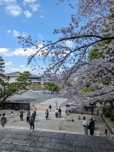 知恩院(京都府)