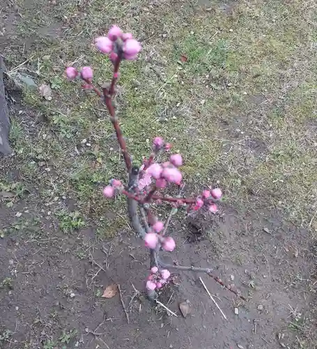 刺田比古神社(和歌山県)