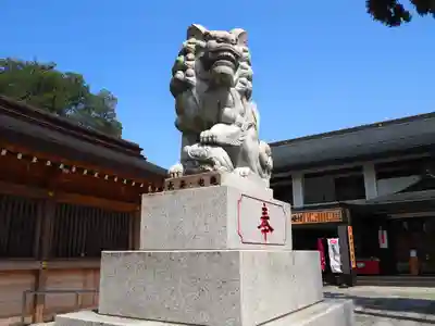 亀ケ池八幡宮の狛犬